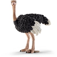Schleich - Ostrich 14744