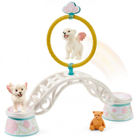 Schleich - Winged Baby Lion Training 42524