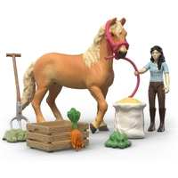 Schleich - Emily's Care Set 42797