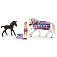 Schleich - Lipizzaner Care Set 72130