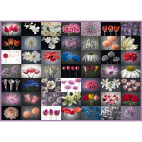 Schmidt - Floral Greetings Puzzle 2000pc