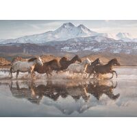 Schmidt - Horses in Cappadocia Puzzle 1000pc
