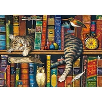 Schmidt - Wysocki Frederick The Literate Puzzle 1000pc