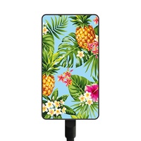 Smartoools - Pineapple MC11 Battery Charger
