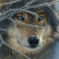 Sunsout - Fire Within Ice Puzzle 500pce