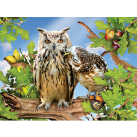 Sunsout - Owl Always Love You Puzzle 500pc