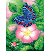 Sunsout - Blue Butterfly Puzzle 1000pc