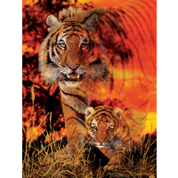 Sunsout - Baby Steps Puzzle 500pc