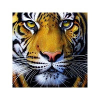 Sunsout - Golden Tiger Face Puzzle 1000pce