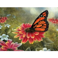 Sunsout - Monarch Butterfly Puzzle 500pc