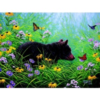 Sunsout - Black Bear and Butterflies Puzzle 500pc