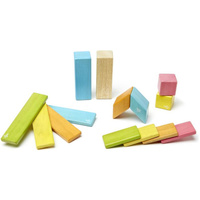 Tegu - Magnetic Wooden Blocks 14pc - Tints
