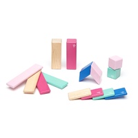 Tegu - Magnetic Wooden Blocks 14pc - Blossom