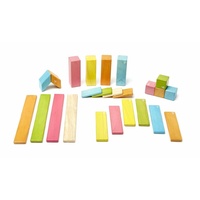 Tegu - Magnetic Wooden Blocks 24pc - Tints