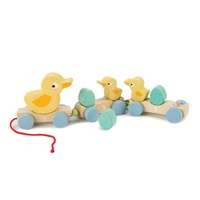 Tender Leaf - Pull Along Ducks