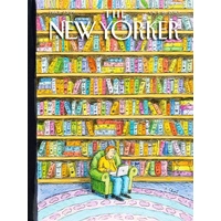 New York Puzzle Company - Shelved Puzzle 750pc
