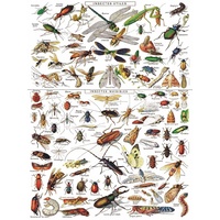 New York Puzzle Company - Insects Puzzle 1000pc