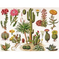 New York Puzzle Company - Cacti Puzzle 1000pc