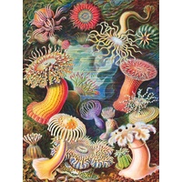 New York Puzzle Company - Sea Anemones Puzzle 1000pc