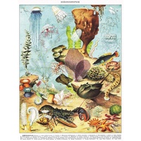 New York Puzzle Company - Oceangraphie Puzzle 1000pc