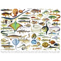 New York Puzzle Company - Fish Puzzle 1000pc