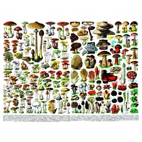 New York Puzzle Company - Mushrooms Puzzle 1000pc