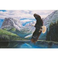 Tomax - Searching Puzzle 1500pc