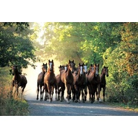 Trefl - English Thoroughbred Stallions Puzzle 1000pc