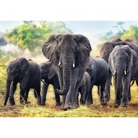 Trefl - African Elephants Puzzle 1000pc
