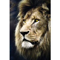 Trefl - Lions Portrait Puzzle 1500pc