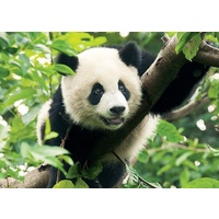 Trefl - Giant Panda Puzzle 500pc
