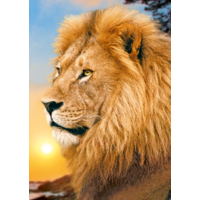 Trefl - Lion Puzzle 500pc