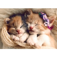 Trefl - Sleeping Kittens Puzzle 500pc