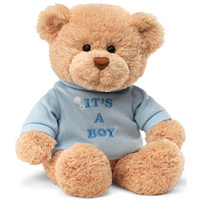 Gund - Message Bear It's a Boy Plush Toy 32cm