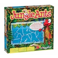 Jungle Ants