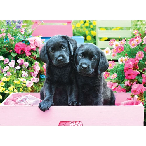 Eurographics - Black Labs in Pink Box Large Piece Puzzle 500pc