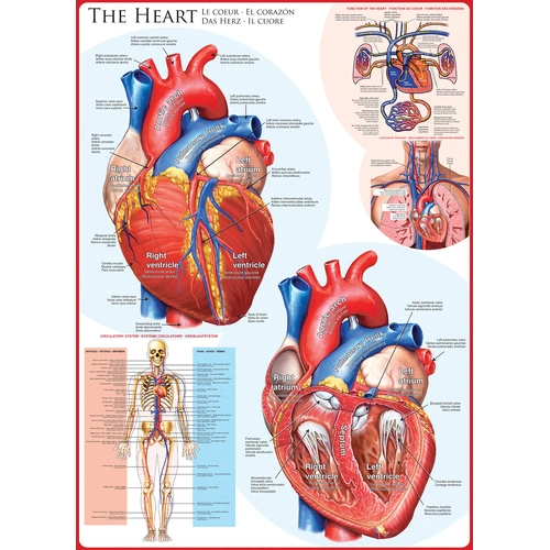Eurographics - The Heart Puzzle 1000pc