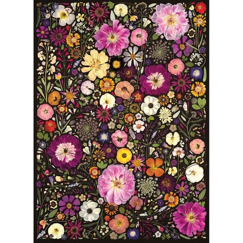 Cobble Hill - Flower Press: Little Hollow & Red Daisy Puzzle 500pc
