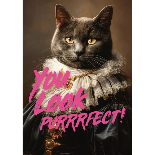 Piatnik - You Look Purrrfect! Puzzle 1000pc