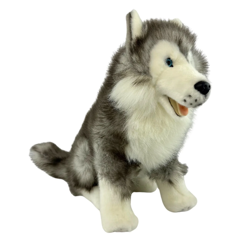 Bocchetta - Brock Siberian Husky Plush Toy 35cm