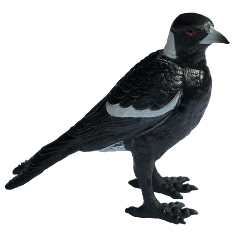 Science & Nature - Magpie