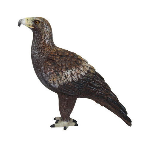 Science & Nature - Wedge-tailed Eagle