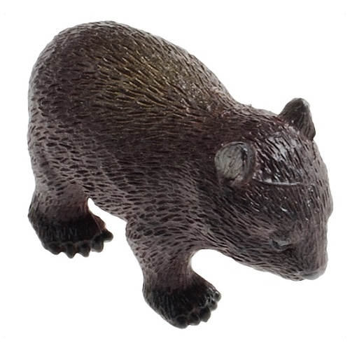 Science & Nature - Wombat