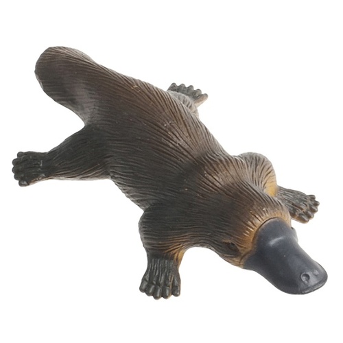 Science & Nature - Platypus