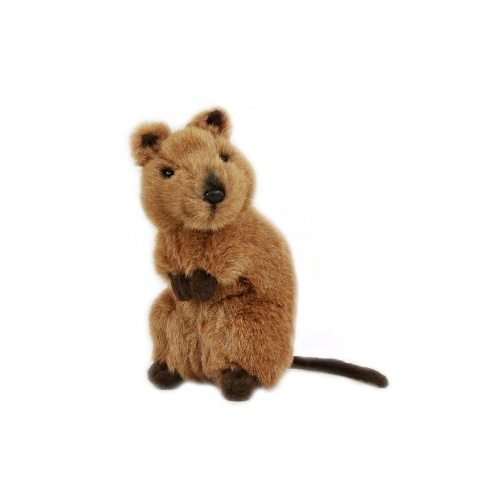 quokka doll