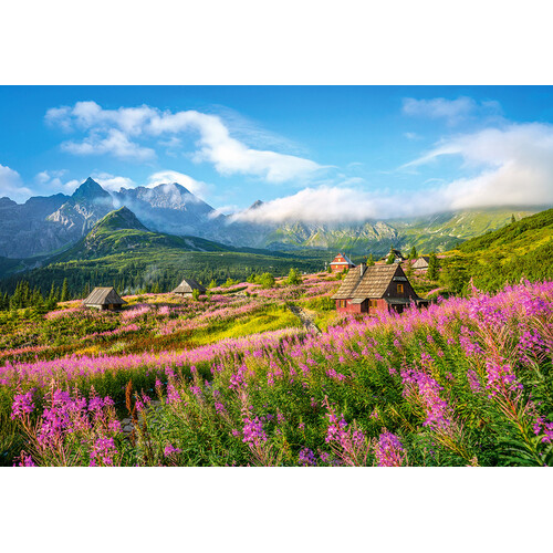 Castorland - Hala Gasienicowa, Tatras, Poland Puzzle 1000pc