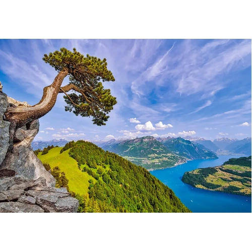 Castorland - View of the Lake of Uri, Switzerland Puzzle 1000pc