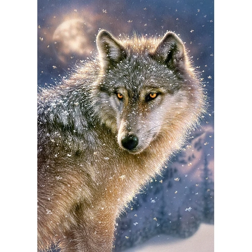 Castorland - Lone Wolf Puzzle 500pc