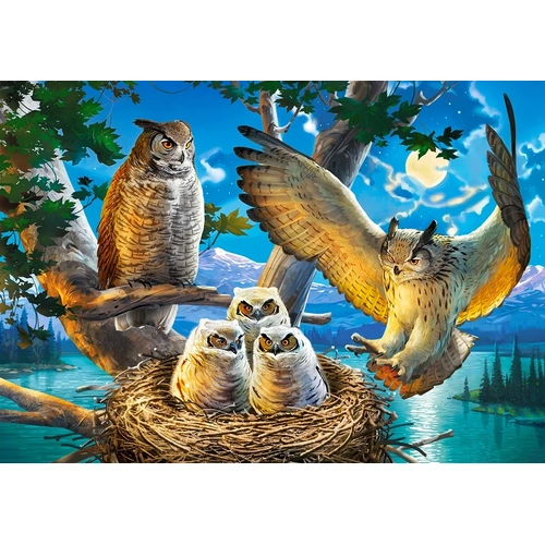 Castorland - Owl Family Puzzle 500pc