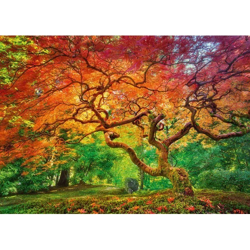 Cherry Pazzi - Arterial Spray Puzzle 1000pc